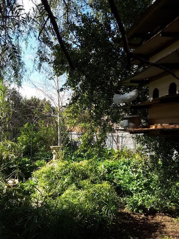 The Dove Cote Bed & Breakfast Tanunda Luaran gambar
