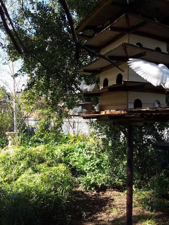 The Dove Cote Bed & Breakfast Tanunda Luaran gambar