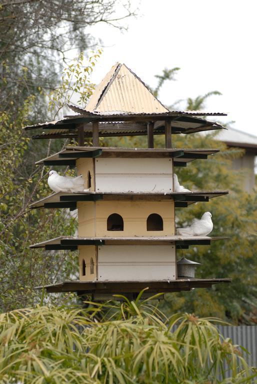 The Dove Cote Bed & Breakfast Tanunda Luaran gambar