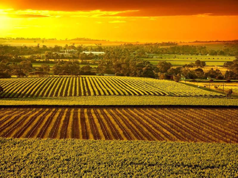 The Dove Cote Bed & Breakfast Tanunda Luaran gambar